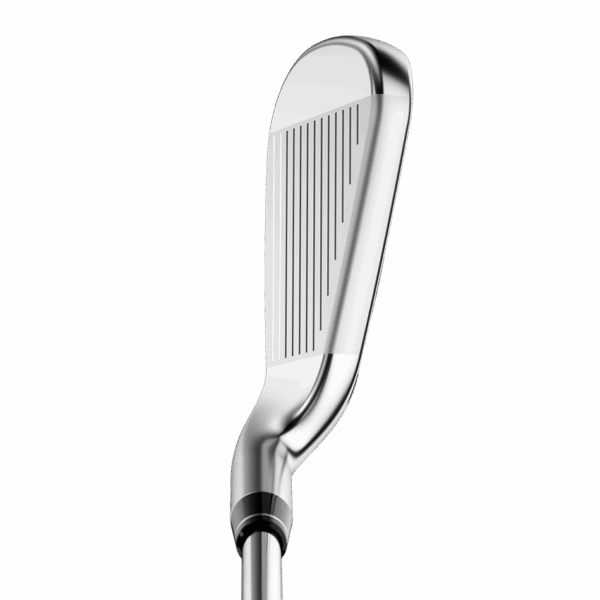 Callaway Big Bertha B21 Graphite 5 to Sw Iron - Image 3
