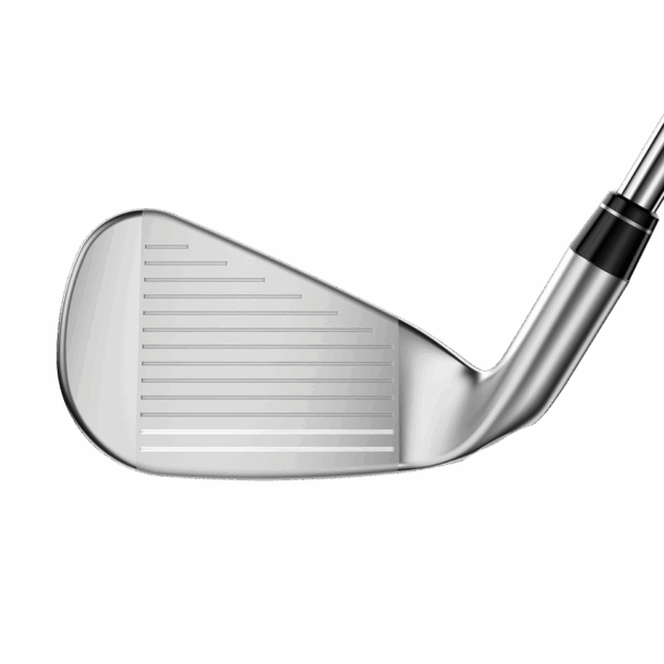 Callaway Big Bertha B21 Graphite 5 to Sw Iron - Image 4